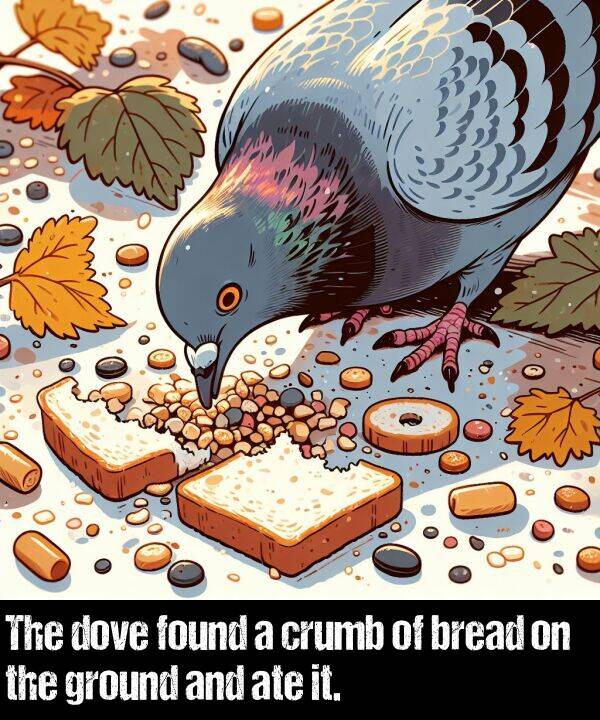 found: The dove found a crumb of bread on the ground and ate it.