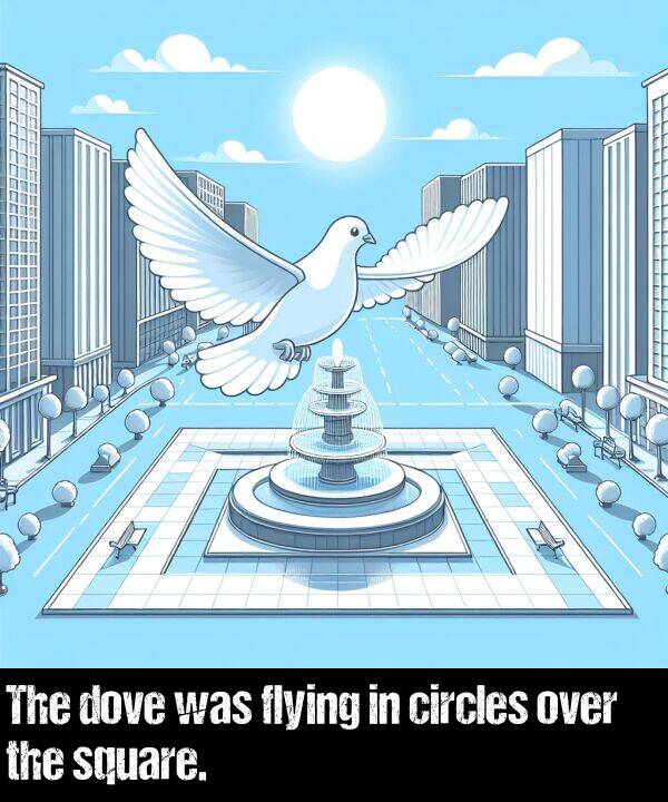 square: The dove was flying in circles over the square.