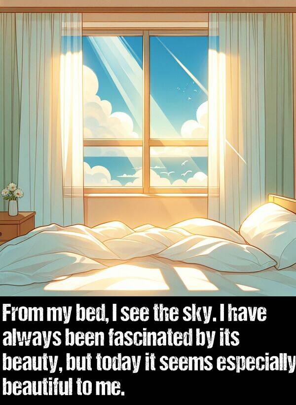 beauty: From my bed, I see the sky. I have always been fascinated by its beauty, but today it seems especially beautiful to me.