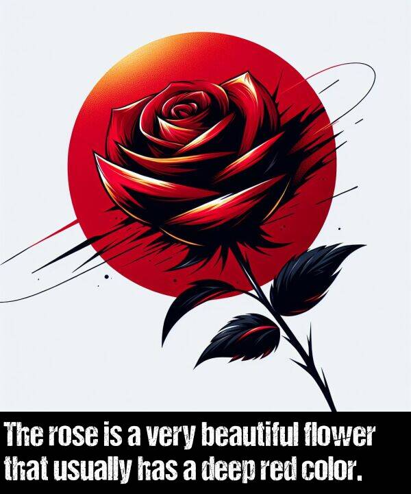 usually: The rose is a very beautiful flower that usually has a deep red color.