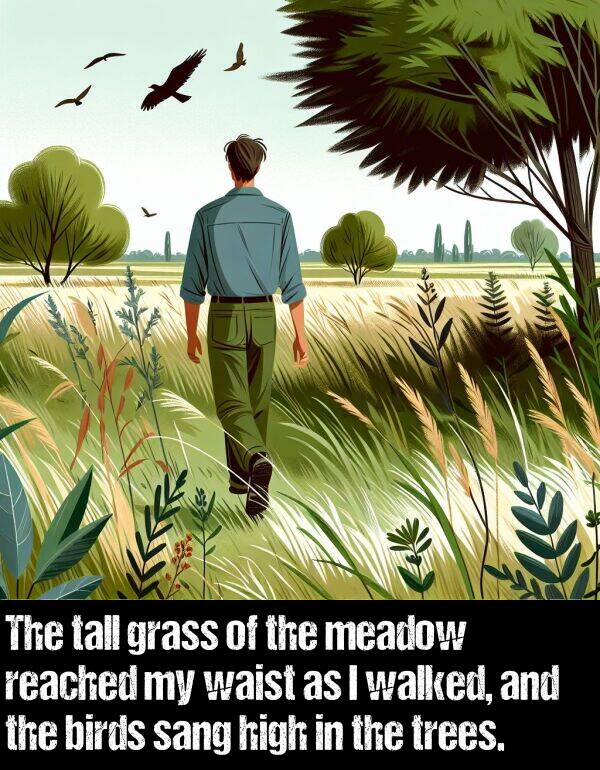 birds: The tall grass of the meadow reached my waist as I walked, and the birds sang high in the trees.