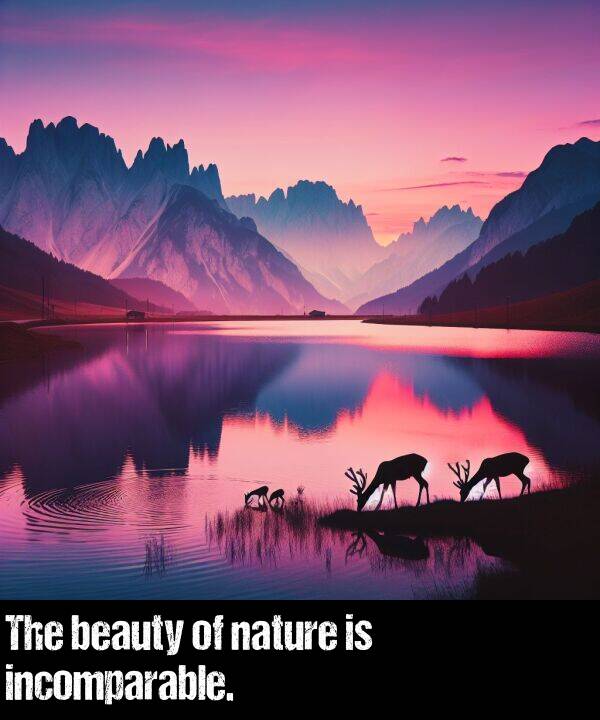 incomparable: The beauty of nature is incomparable.