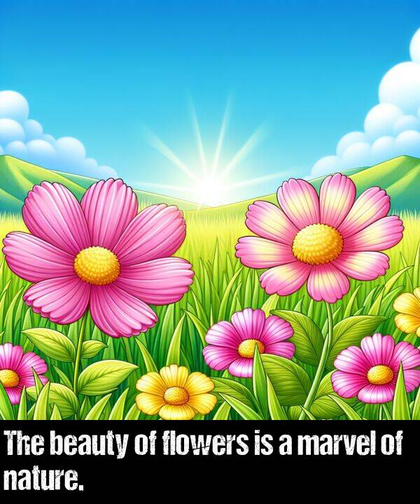 nature: The beauty of flowers is a marvel of nature.