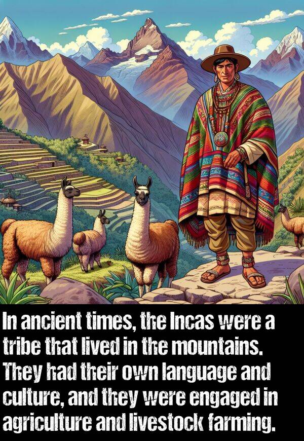 own: In ancient times, the Incas were a tribe that lived in the mountains. They had their own language and culture, and they were engaged in agriculture and livestock farming.