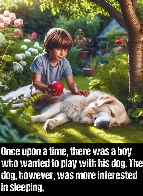 boy: Once upon a time, there was a boy who wanted to play with his dog. The dog, however, was more interested in sleeping.