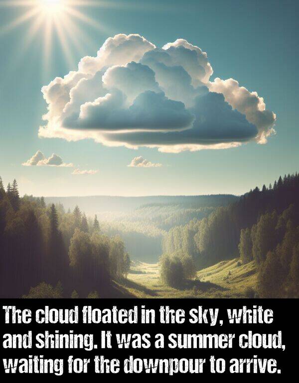 summer: The cloud floated in the sky, white and shining. It was a summer cloud, waiting for the downpour to arrive.