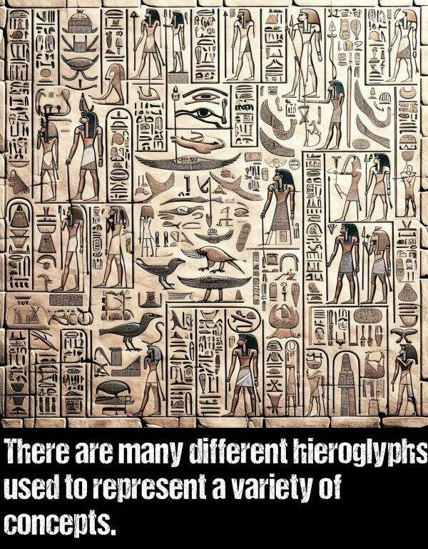 hieroglyphs: There are many different hieroglyphs used to represent a variety of concepts.