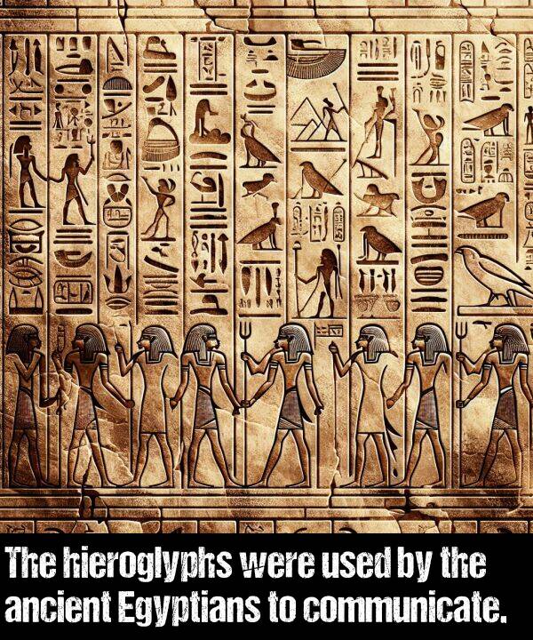 hieroglyphs: The hieroglyphs were used by the ancient Egyptians to communicate.