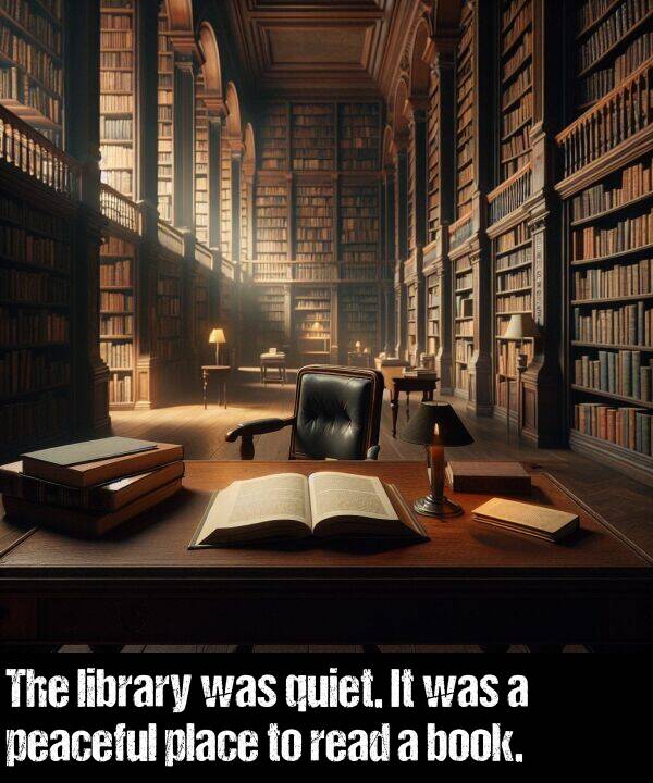 book: The library was quiet. It was a peaceful place to read a book.