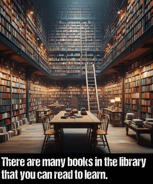 books: There are many books in the library that you can read to learn.