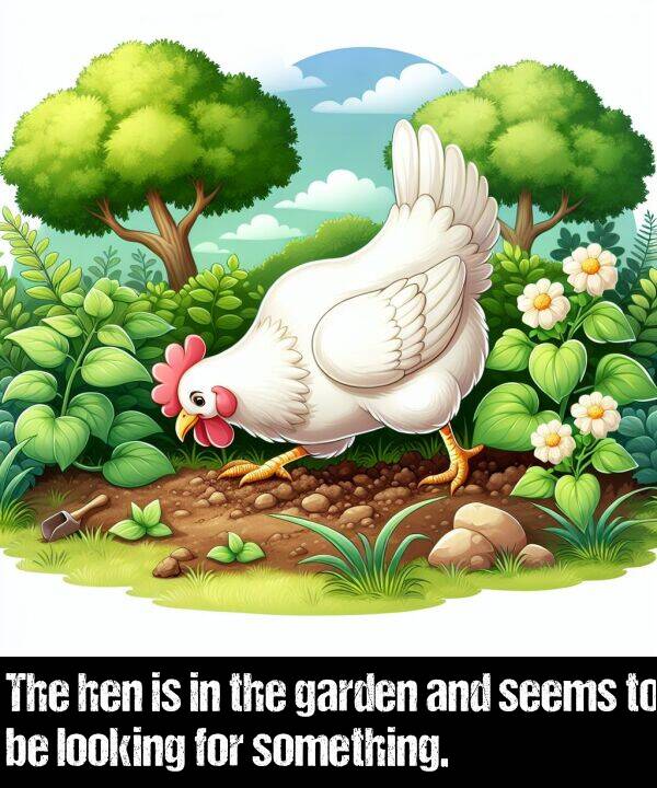 garden: The hen is in the garden and seems to be looking for something.