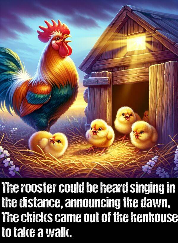 chicks: The rooster could be heard singing in the distance, announcing the dawn. The chicks came out of the henhouse to take a walk.