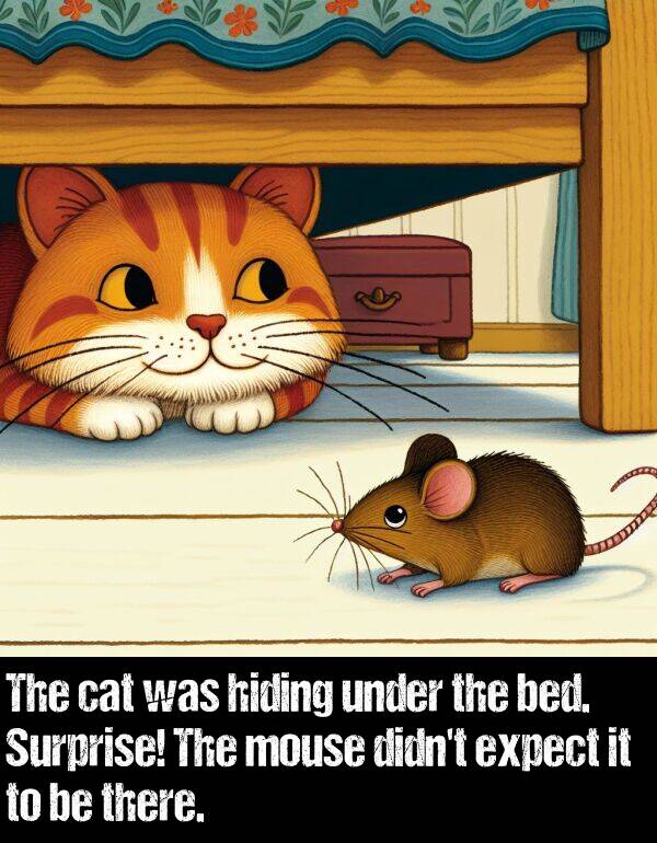 bed: The cat was hiding under the bed. Surprise! The mouse didn't expect it to be there.