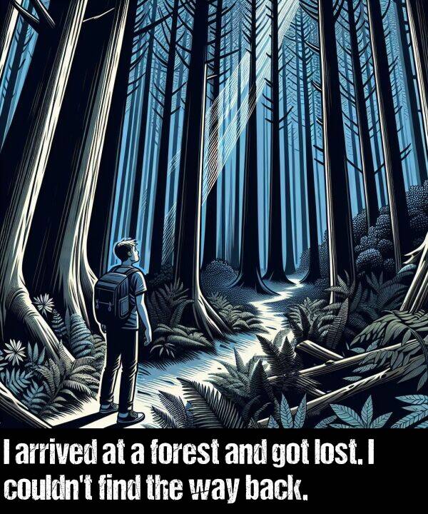 find: I arrived at a forest and got lost. I couldn't find the way back.