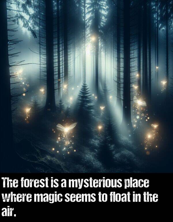 air: The forest is a mysterious place where magic seems to float in the air.