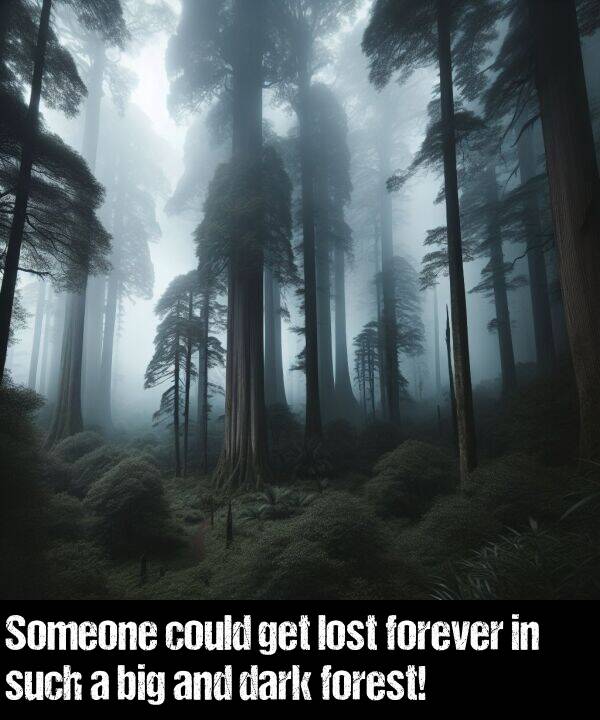 such: Someone could get lost forever in such a big and dark forest!