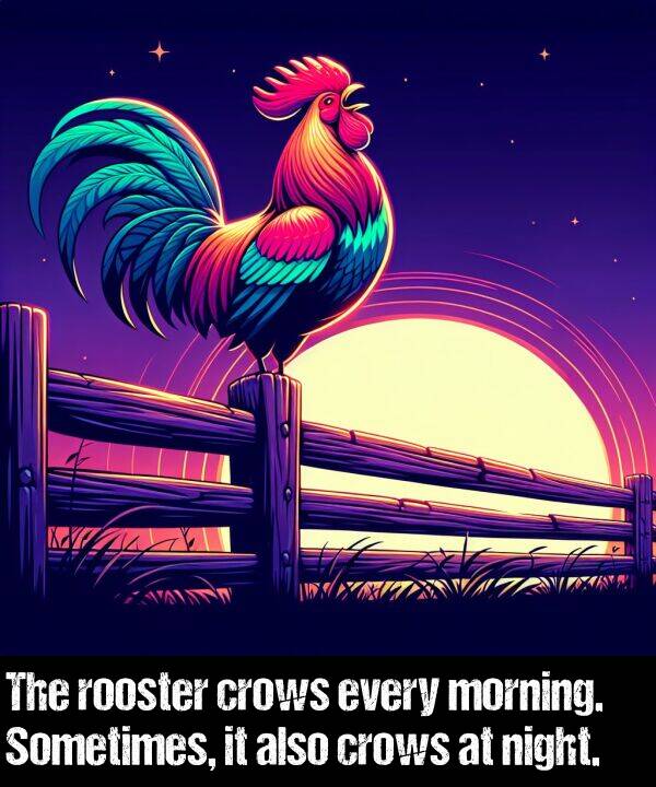 rooster: The rooster crows every morning. Sometimes, it also crows at night.