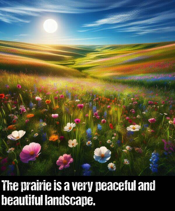 peaceful: The prairie is a very peaceful and beautiful landscape.