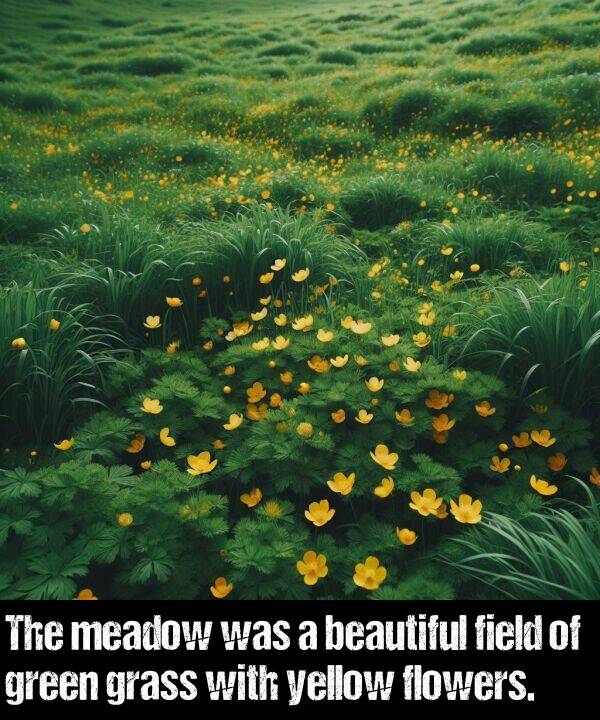 grass: The meadow was a beautiful field of green grass with yellow flowers.