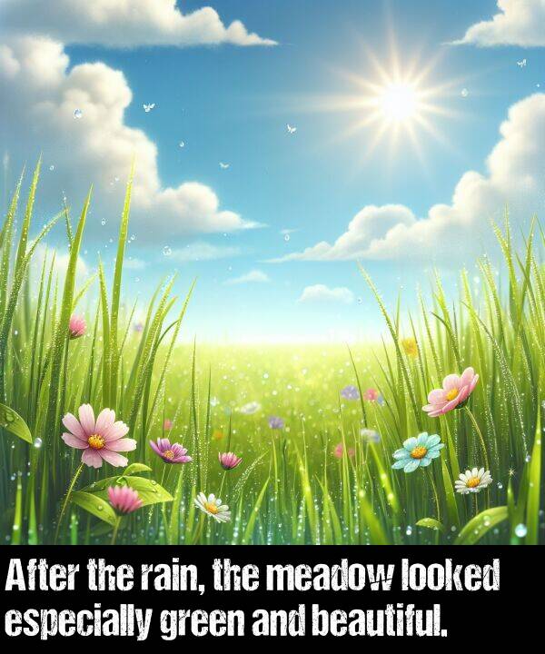 beautiful: After the rain, the meadow looked especially green and beautiful.