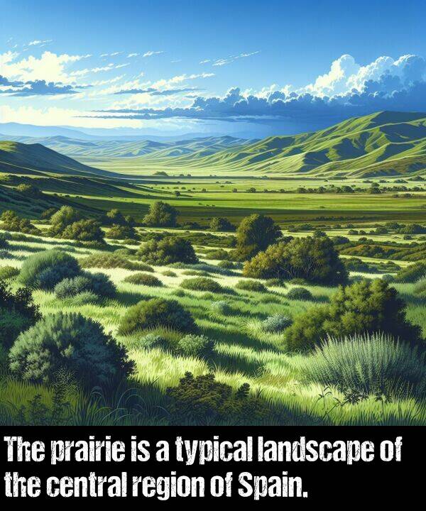 region: The prairie is a typical landscape of the central region of Spain.