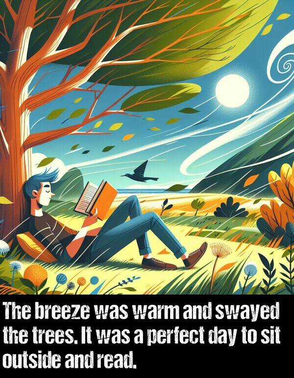 trees: The breeze was warm and swayed the trees. It was a perfect day to sit outside and read.