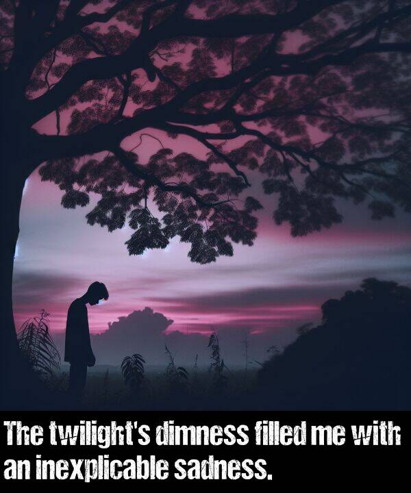 sadness: The twilight's dimness filled me with an inexplicable sadness.