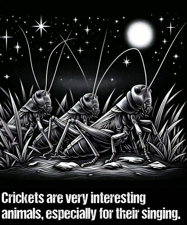 their: Crickets are very interesting animals, especially for their singing.