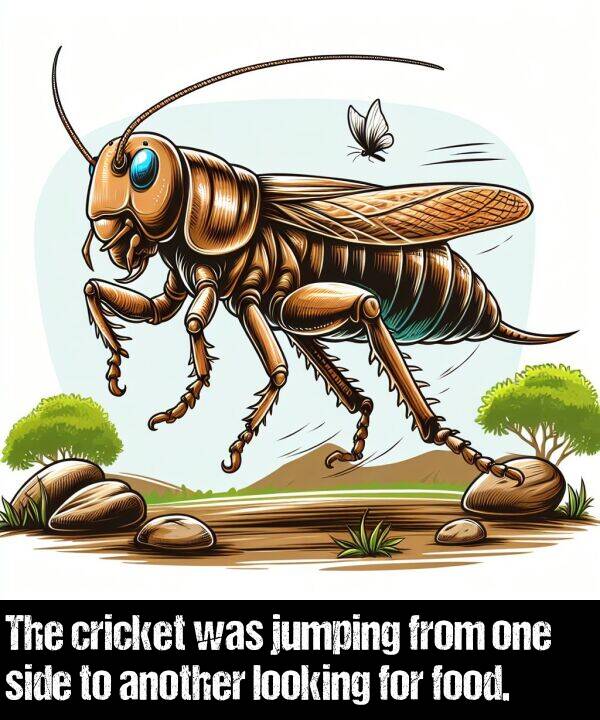 one: The cricket was jumping from one side to another looking for food.