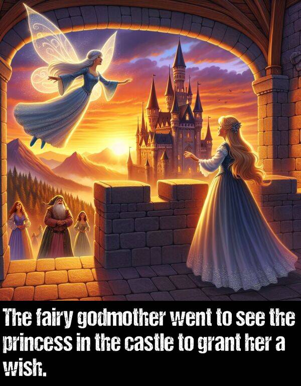 see: The fairy godmother went to see the princess in the castle to grant her a wish.