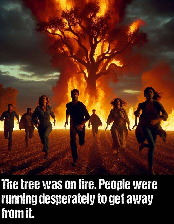 tree: The tree was on fire. People were running desperately to get away from it.