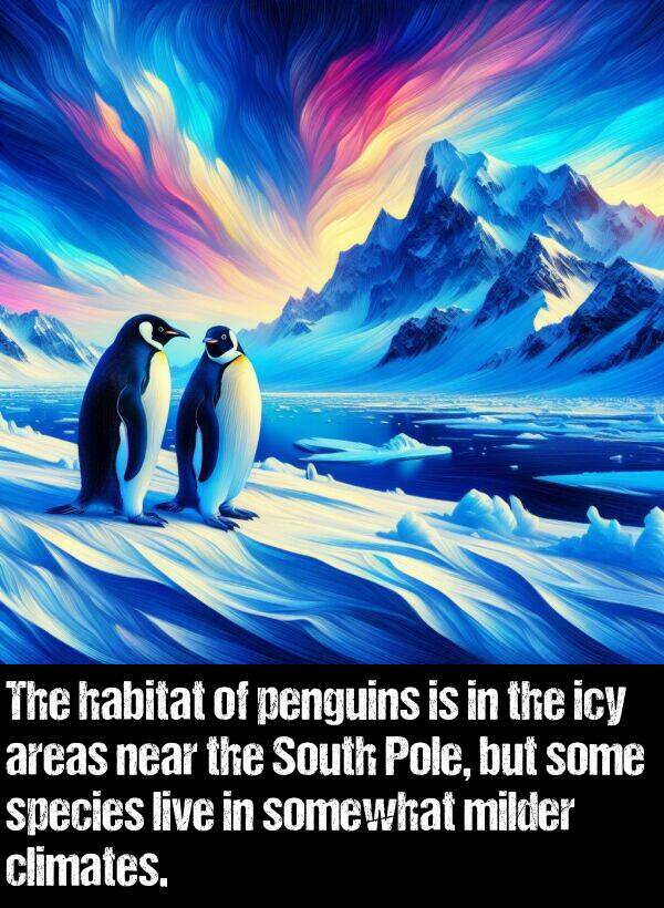 live: The habitat of penguins is in the icy areas near the South Pole, but some species live in somewhat milder climates.