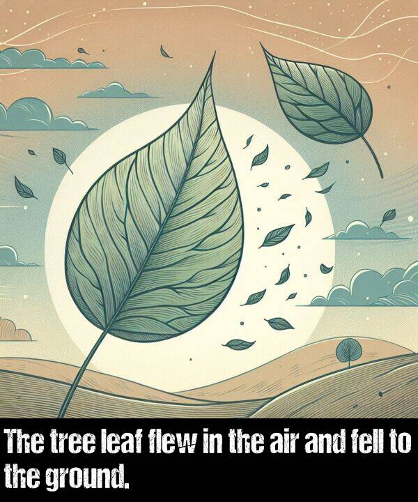 ground: The tree leaf flew in the air and fell to the ground.