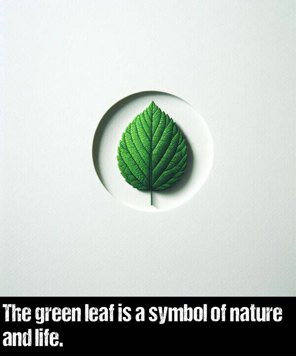 green: The green leaf is a symbol of nature and life.