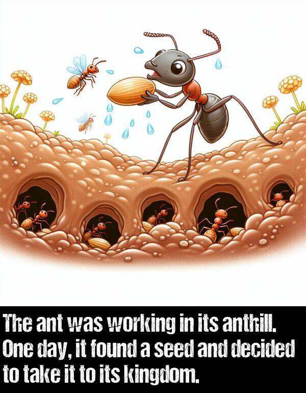 anthill: The ant was working in its anthill. One day, it found a seed and decided to take it to its kingdom.