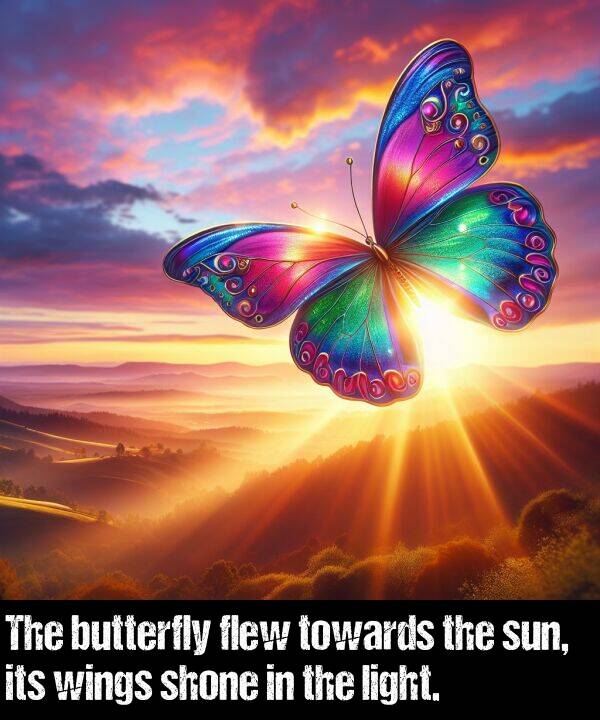 light: The butterfly flew towards the sun, its wings shone in the light.