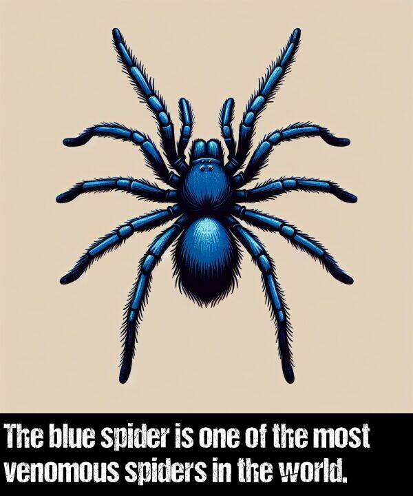 world: The blue spider is one of the most venomous spiders in the world.