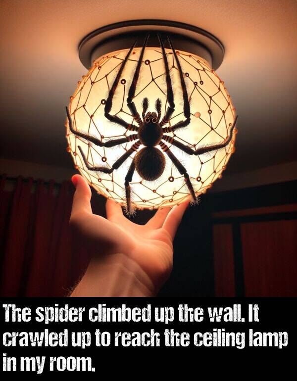 lamp: The spider climbed up the wall. It crawled up to reach the ceiling lamp in my room.