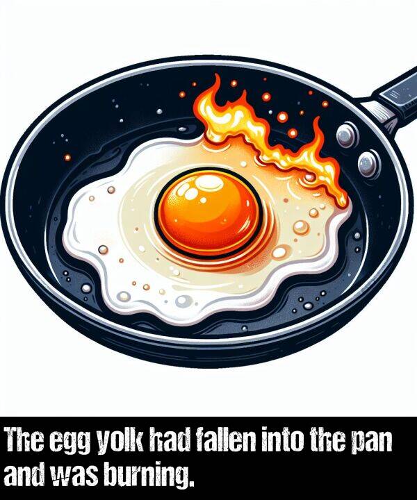 yolk: The egg yolk had fallen into the pan and was burning.