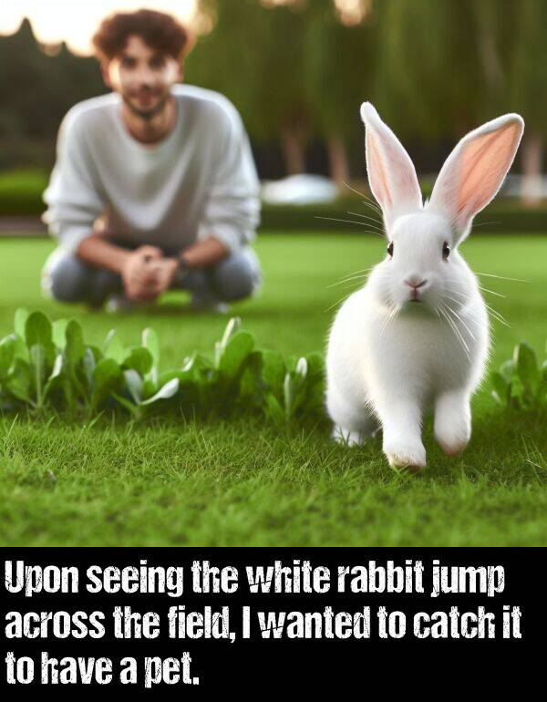 white: Upon seeing the white rabbit jump across the field, I wanted to catch it to have a pet.