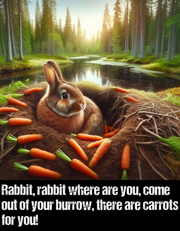 carrots: Rabbit, rabbit where are you, come out of your burrow, there are carrots for you!