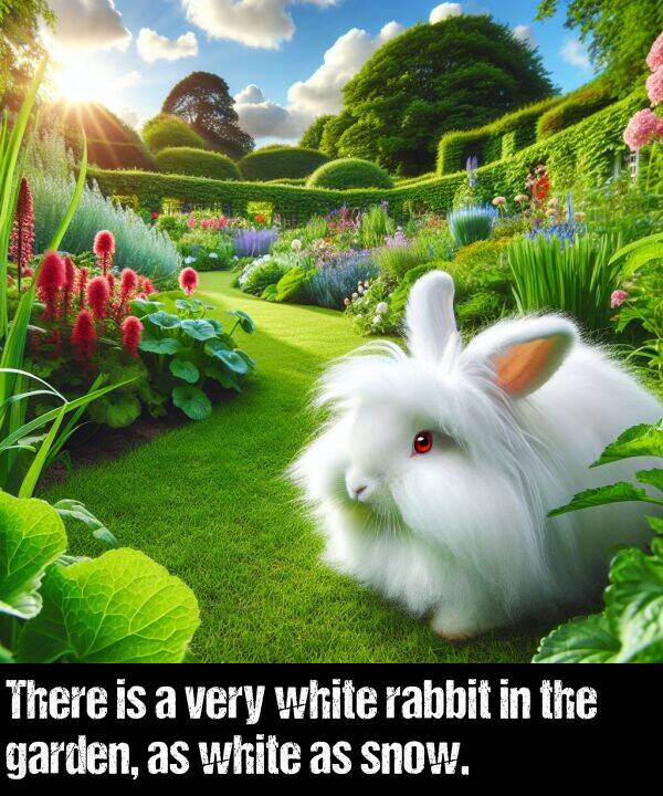 garden: There is a very white rabbit in the garden, as white as snow.