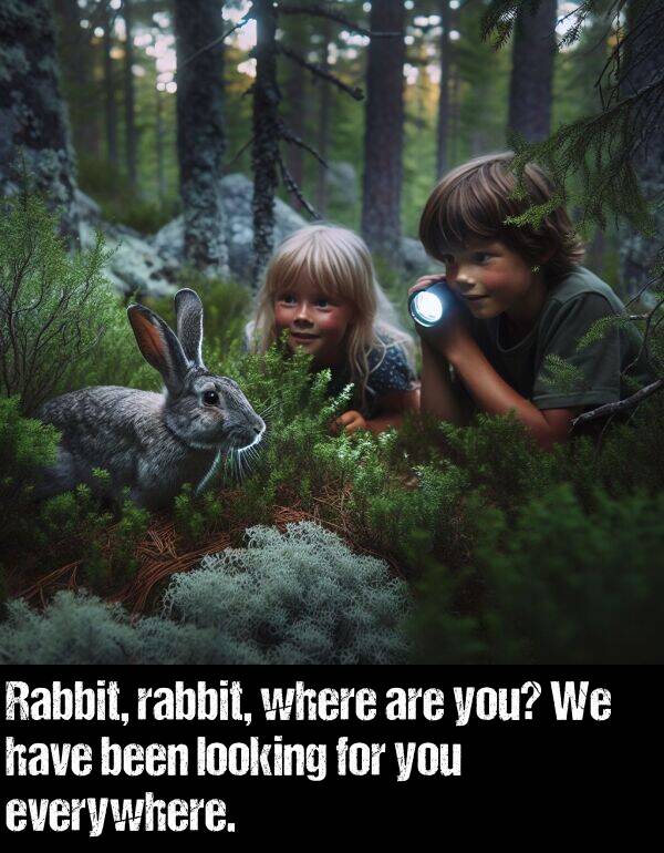 everywhere: Rabbit, rabbit, where are you? We have been looking for you everywhere.