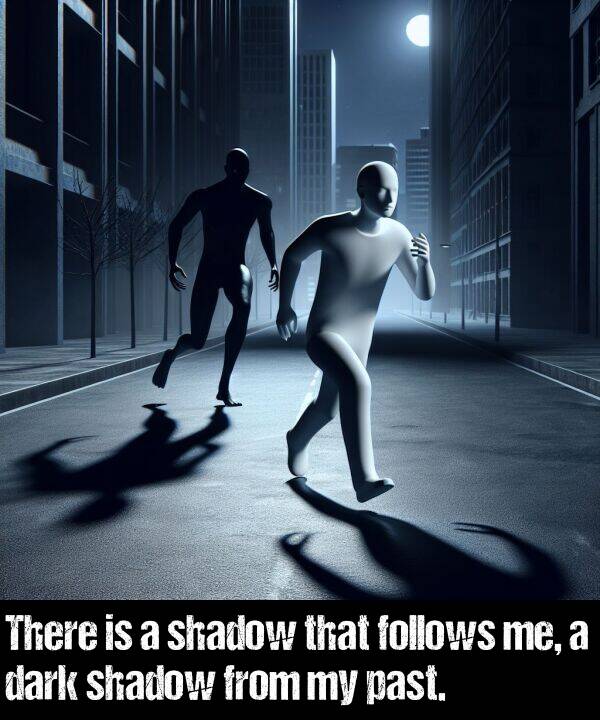 shadow: There is a shadow that follows me, a dark shadow from my past.