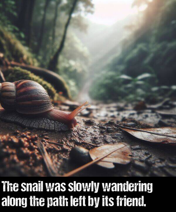 snail: The snail was slowly wandering along the path left by its friend.