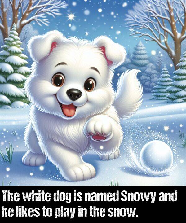 white: The white dog is named Snowy and he likes to play in the snow.