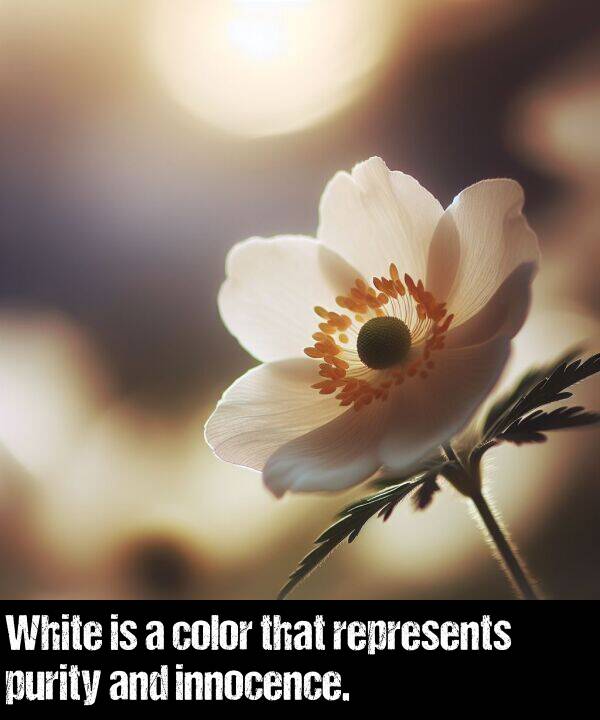 color: White is a color that represents purity and innocence.