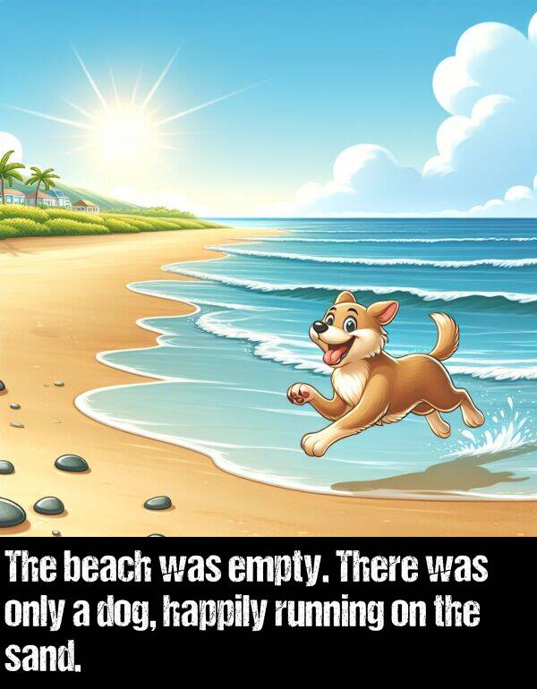 only: The beach was empty. There was only a dog, happily running on the sand.