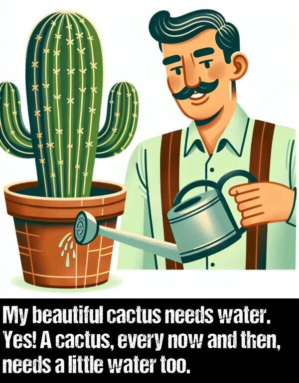 then: My beautiful cactus needs water. Yes! A cactus, every now and then, needs a little water too.