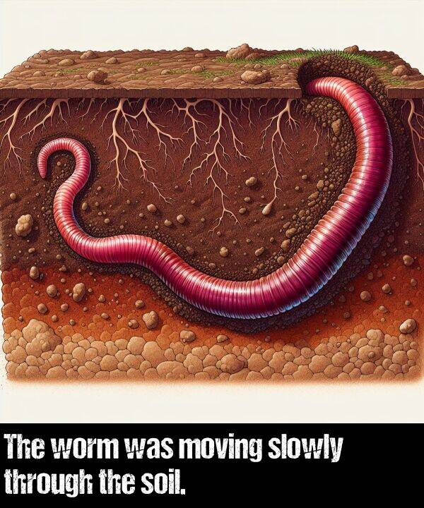 through: The worm was moving slowly through the soil.